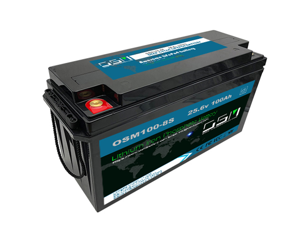 24V 100AH Lithium Ion Lifepo4 battery pack OEM supplier for wholesale